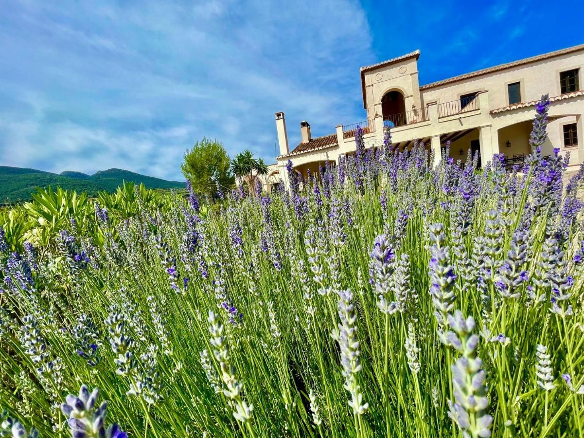 La Esperanza Granada Luxury Hacienda & Private Villa Saleres Екстериор снимка